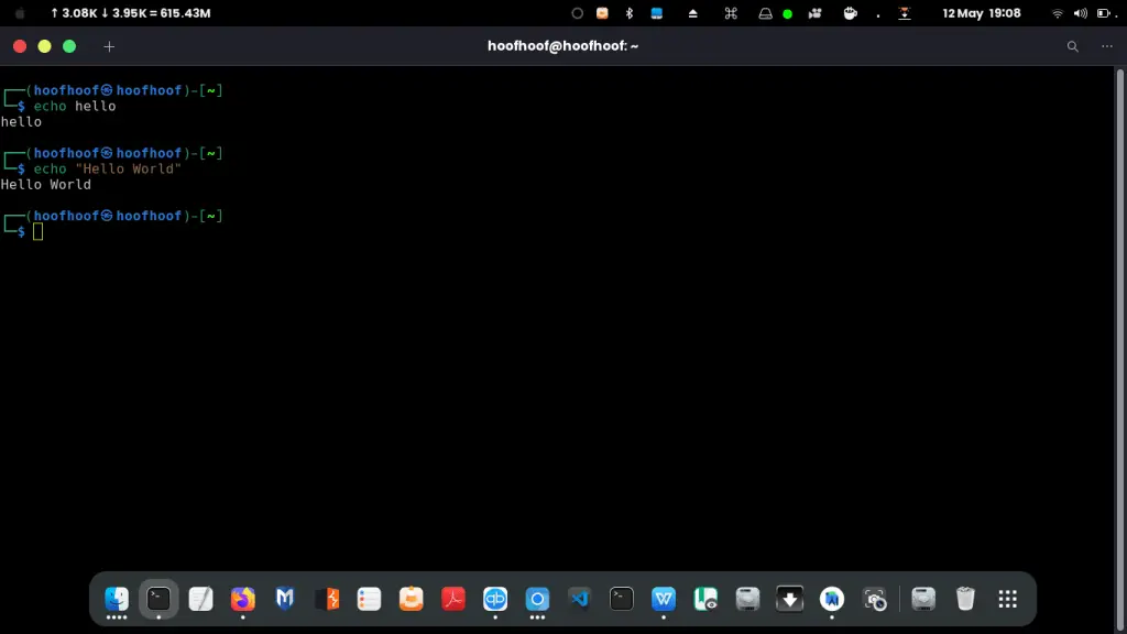 Using echo command on Linux
