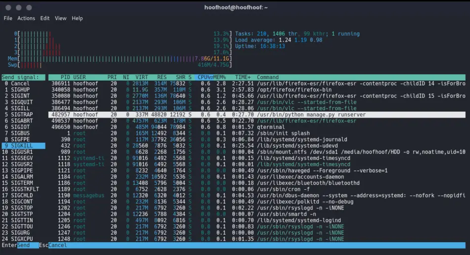 How to kill a Django background process using htop on Linux