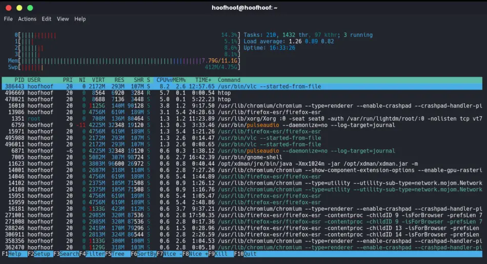 How to run htop on Linux